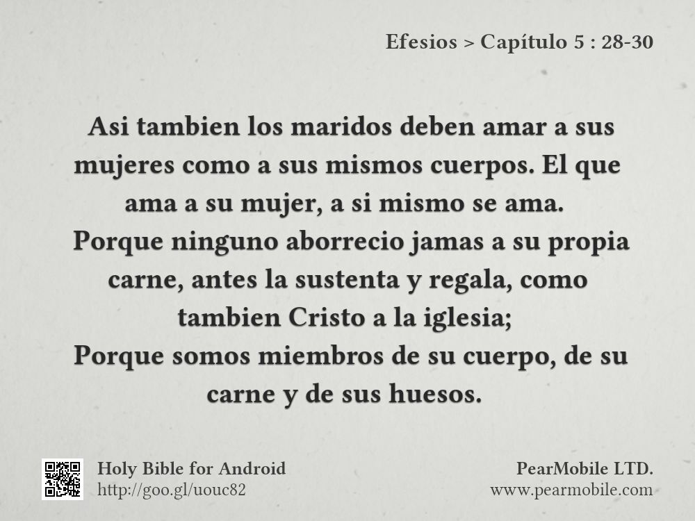 Efesios, Capítulo 5:28-30